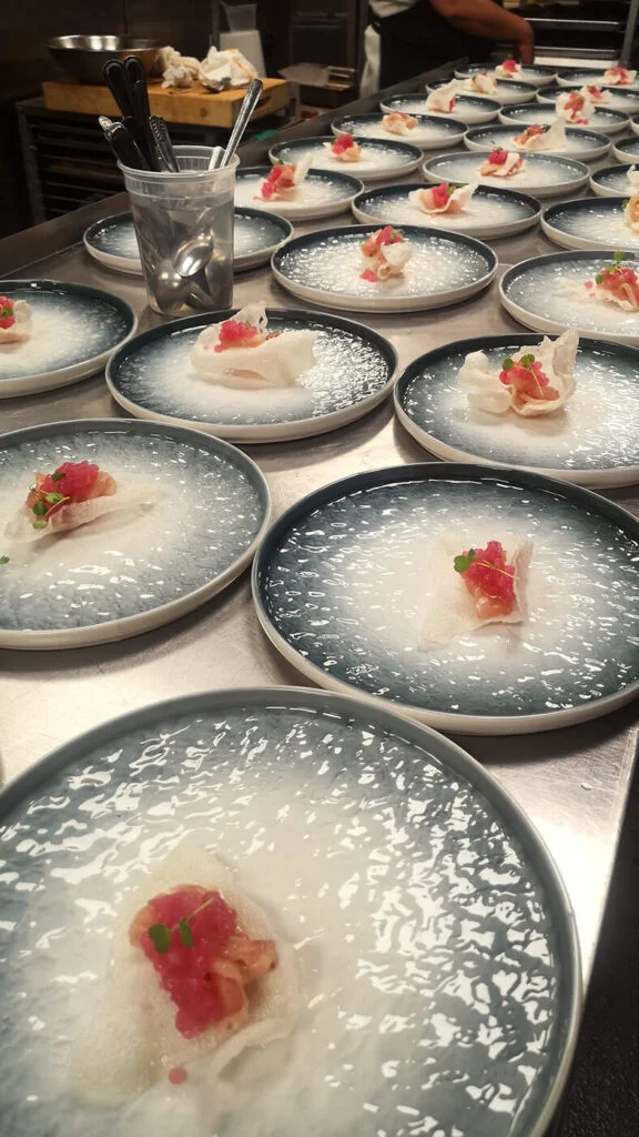 ELEGANT AND BEAUTY SUSHI PLATES